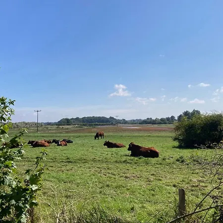 Bades Huk Haus 6 20 - Eg * Hohen Wieschendorf